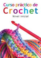 Curso práctico de crochet: Nivel inicial 9876342509 Book Cover