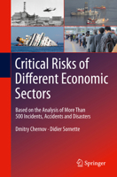 Critical Risks of Different Economic Sectors 3030250334 Book Cover