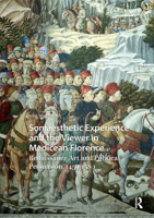 Somaesthetic Experience Viewer Mediceahb 9463722211 Book Cover