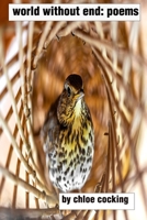 world without end: poems 1927848962 Book Cover