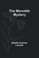 The Meredith Mystery B0CNVPF9P9 Book Cover