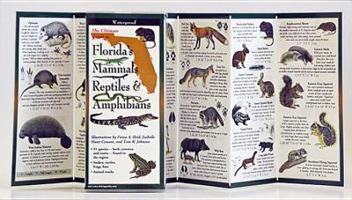 Florida's Mammals, Reptiles, and Amphibians 193538063X Book Cover