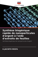 Synthèse biogénique rapide de nanoparticules d'argent à l'aide d'extraits de feuilles (French Edition) 6209449085 Book Cover