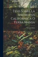 Tesis Sobre La Anemopsis Californica O Yerba Mansa 027437465X Book Cover