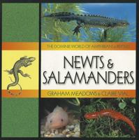 Newts & salamanders (Dominie world of amphibians & reptiles) 0768516323 Book Cover