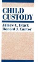 Child Custody 0231062486 Book Cover