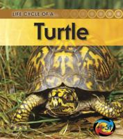 Life Cycle of a Turtle (Heinemann First Library) 1432925490 Book Cover