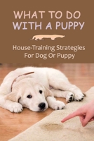 What To Do With A Puppy: House-Training Strategies For Dog Or Puppy: Potty Train A Puppy B09BY85414 Book Cover