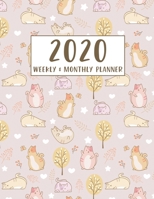 2020 Planner Weekly and Monthly : Pretty Cute Cat Schedule Organizer, Jan 1, 2020 to Dec 31, 2020, 8. 5 X 11 Inches (21. 59 X 27. 94 Cm) 1713469049 Book Cover