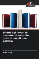 Effetti dei lavori di manutenzione sulle prestazioni di una galleria (Italian Edition) 6207137442 Book Cover