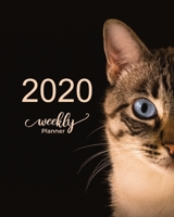 2020 Weekly Planner: Measuring 8X10 January through December 2020 showing entire month at a glance & weekly goals and notes Gift for cat lovers 1677300205 Book Cover
