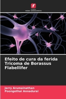 Efeito de cura da ferida Tricoma de Borassus Flabellifer (Portuguese Edition) 6204713426 Book Cover