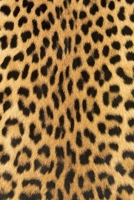 Notebook: Lined Journal - Leopard Notebook - Notebook Featuring Leopard Fur 1692494171 Book Cover