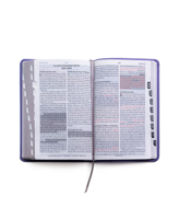 Rv-60 Biblia de Promesas - Tamao Manual- Edicin Lavanda Imitacin Piel Con ndice 0789925567 Book Cover
