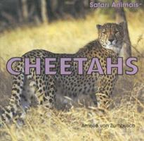 Cheetahs: World's Fastest Cats (Dangerous Cats) 1404236147 Book Cover