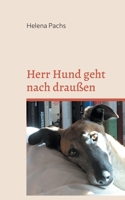 Herr Hund geht nach draußen: Mein erstes Jahr mit einem Galgo 3753478520 Book Cover