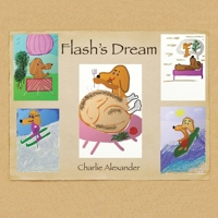 Flash's Dream 1669875466 Book Cover