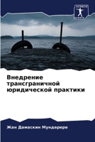 Внедрение трансграничн&# 6205390248 Book Cover