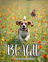 Beagle Photography Book: A Heartwarming Collection of Real Life Beagle Moments and Captivating Portraits B0GQPS4488 Book Cover
