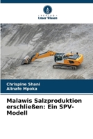 Malawis Salzproduktion erschließen: Ein SPV-Modell (German Edition) 6209954987 Book Cover