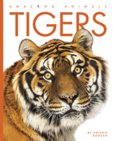 Tigers 0898127459 Book Cover