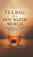 A Tea Bag Experience In A Hot Water World B0FNC7C51D Book Cover