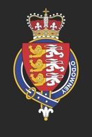 O'Downey: O'Downey Coat of Arms and Family Crest Notebook Journal (6 x 9 - 100 pages) 1676485740 Book Cover