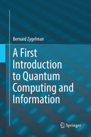 A First Introduction to Quantum Computing and Information 3319916289 Book Cover