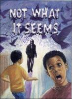 Not What It Seems 1869599349 Book Cover