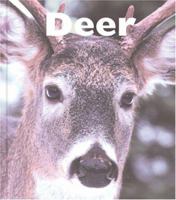 Deer (Naturebooks) 1567665861 Book Cover