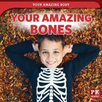 Your Amazing Bones 1725339536 Book Cover