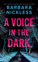 A Voice in the Dark: A Benedict Hoffman and Helen Belle Thriller 1662533721 Book Cover