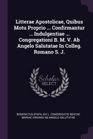 Litterae Apostolicae, Quibus Motu Proprio ... Confirmantur ... Indulgentiae ... Congregationi B. M. V. Ab Angelo Salutatae In Colleg. Romano S. J. 1378399870 Book Cover