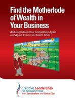 Find the Motherlode of Wealth in Your Business 0989597601 Book Cover