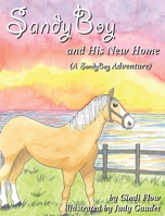 SandyBoy and His New Home 1952041376 Book Cover