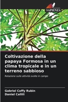Coltivazione della papaya Formosa in un clima tropicale e in un terreno sabbioso (Italian Edition) 6207706412 Book Cover