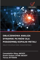Obliczeniowa Analiza Dynamiki Plynów Dla Podziemnej Kopalni Metali 6209109802 Book Cover