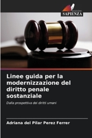 Linee guida per la modernizzazione del diritto penale sostanziale: Dalla prospettiva dei diritti umani 6205849348 Book Cover