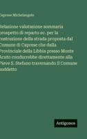 Relazione valutazione sommaria prospetto di reparto ec. per la costruzione della strada proposta dal Comune di Caprese che dalla Provinciale della ... il Comune suddetto (Italian Edition) 3563228345 Book Cover