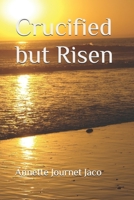 CRUCIFIED BUT RISEN 148261538X Book Cover