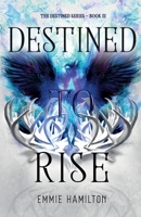 Destined to Rise B0CK3QCYN8 Book Cover