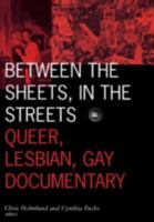 Between the Sheets, in the Streets: Queer, Lesbian, and Gay Documentary (Visible Evidence, Vol 1) 0816627754 Book Cover