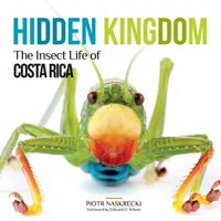 Hidden Kingdom: The Insect Life of Costa Rica 1501704710 Book Cover