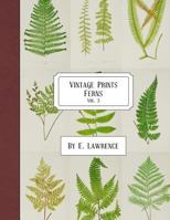 Vintage Prints: Ferns: Vol. 3 1987652657 Book Cover