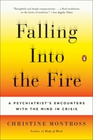 Falling into the Fire 1594203938 Book Cover