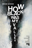 How Black Was My Valley: Life and Fate in a Post-Industrial Heartland 1913462846 Book Cover