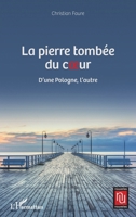 La pierre tombée du coeur: D'une Pologne, l'autre (Nouvelles Nouvelles) (French Edition) 2343244669 Book Cover