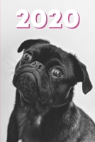 2020 Hunde Kalender: S��er Mops Wochenplaner mit Monats- und Jahresansicht - 100 Seiten - Januar bis Dezember Terminplaner 1706192193 Book Cover