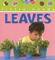Leaves (Little Hands) 159389211X Book Cover