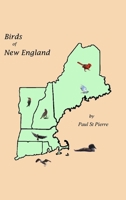 Birds of New England B0DYWJYS5V Book Cover